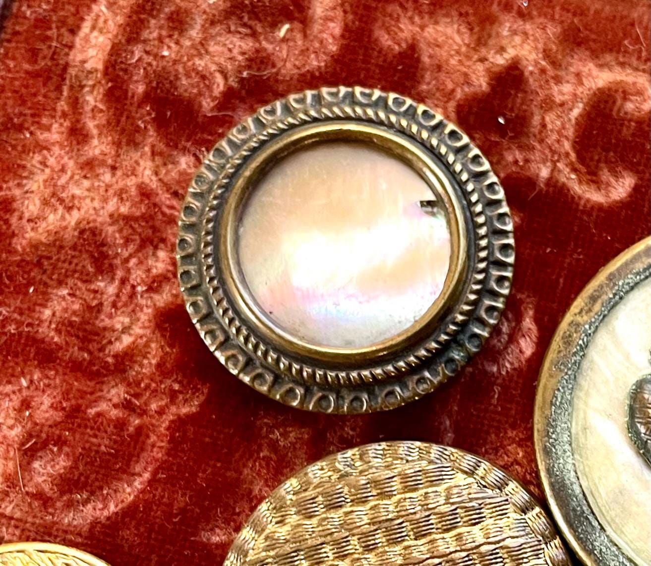 Antique Thread Back Buttons Bone Greek Goddess Shell Celluloid ...