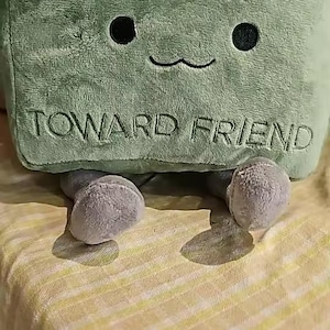 May include: A plush, green, rectangular pillow with a smiling face and the words "FRONT" and "TOWARD FRIEND" embroidered on it. The pillow has two small, gray, rounded feet.