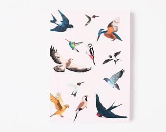 Free Spirit Bird Journal, Blank Journal, Blank Lined Journal,  Hand Illustrated Bird Print Journal,