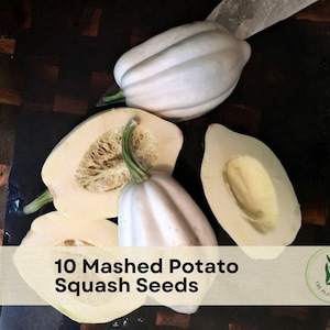May include: Overhead shot of white mashed potato squash, some whole and some sliced open, revealing the seeds. The image includes the text "10 Mashed Potato Squash Seeds" and a logo for "The Plant Origin Co."