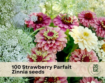 100 Strawberry Parfait Zinnia Flower Seeds for Planting | Colorful Annual Garden Flowers