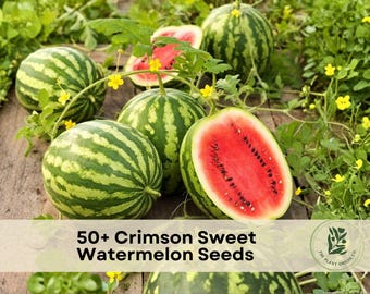 50+ Crimson Sweet Watermelon Seeds