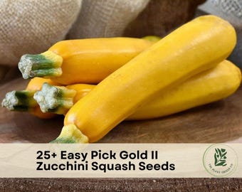 25+ Easy Pick Gold II Zucchini Squash Seeds