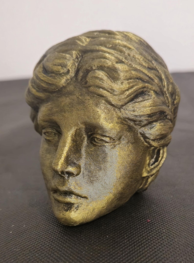 Pode incluir: Um busto escultural de uma cabe&ccedil;a humana com acabamento em tom dourado met&aacute;lico e sombreamento antigo escuro. A figura apresenta cabelo ondulado penteado para tr&aacute;s, tra&ccedil;os faciais definidos incluindo um nariz reto e uma express&atilde;o neutra.