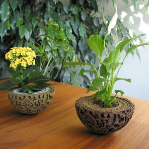 Pode incluir: Duas plantas em vasos sobre uma superfície de madeira. Um vaso contém flores amarelas, o outro uma flor branca. Ambas as plantas estão em vasos decorativos castanhos com padrões. O fundo apresenta folhagem verde.
