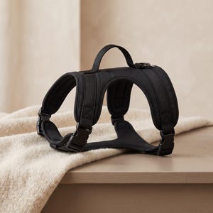 Op de afbeelding: Een effen zwart hondentuig met een gewatteerd borststuk, verstelbare nylon banden en kunststof gespen aan de zijkanten. Het tuig is voorzien van een handvat aan de bovenzijde en een metalen D-ring voor het bevestigen van een hondenriem.