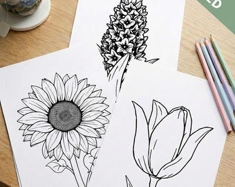 50 Simple Floral Coloring Pages, Kids & Adults, Botanical Designs (Digital Download PDF)
