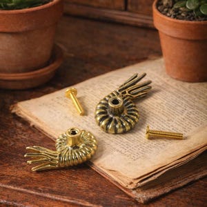 Peut inclure: Deux boutons de meuble anciens en laiton dor&eacute; avec un motif de coquillage et deux vis assorties reposent sur un livre ouvert. Les boutons sont dor&eacute;s et ont une surface textur&eacute;e d&eacute;taill&eacute;e. De petites plantes en pot sont en arri&egrave;re-plan.