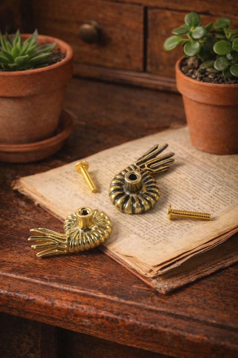 Peut inclure: Deux boutons de meuble anciens en laiton dor&eacute; avec un motif de coquillage et deux vis assorties reposent sur un livre ouvert. Les boutons sont dor&eacute;s et ont une surface textur&eacute;e d&eacute;taill&eacute;e. De petites plantes en pot sont en arri&egrave;re-plan.