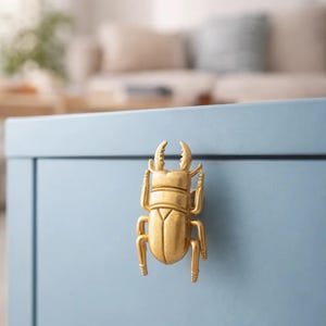 May include: A gold-coloured beetle-shaped cabinet pull is mounted on a light blue cabinet door. The beetle has detailed legs, antennae, and a segmented body. The background is blurred, suggesting a room setting.