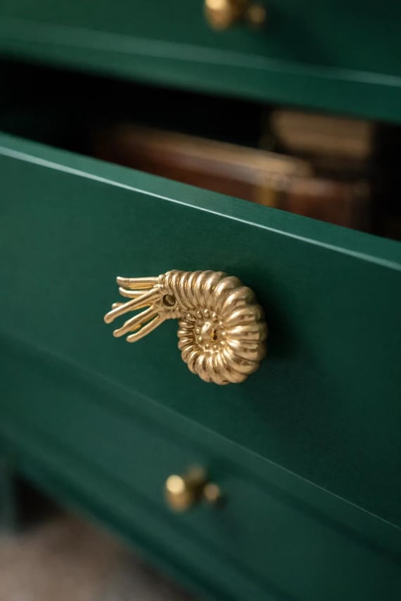 Oceanic Ammonite Drawer Pull – Creative Fossil-Inspired Cabinet Handles, Handcrafted Home Decor, Unique Furniture Knobs, Gift for New Home