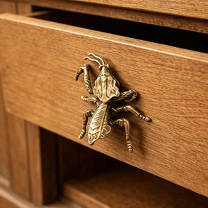 May include: A detailed brass insect-shaped drawer pull is mounted on a wooden drawer. The drawer is partially open, revealing the interior. The insect has intricate details, including legs, antennae, and a textured body. The wood has a warm, natural tone.