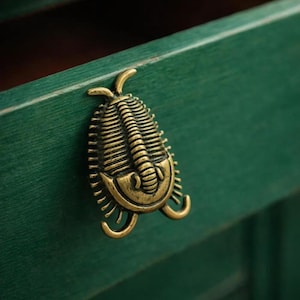Op de afbeelding: Een messingkleurige, trilobietvormige kastknop is bevestigd op een donkergroene houten lade. De knop heeft gedetailleerde ribbels en gebogen accenten, wat een vleugje vintage charme aan het meubel geeft. De lade is geschilderd in een diep, bosgroen.
