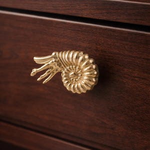 Peut inclure: Un bouton de tiroir dor&eacute; en forme de nautile est mont&eacute; sur un tiroir en bois brun fonc&eacute;. La poign&eacute;e de tiroir pr&eacute;sente un motif en spirale d&eacute;taill&eacute; et est fabriqu&eacute;e dans un mat&eacute;riau m&eacute;tallique brillant. Le grain du bois est visible sur le tiroir.