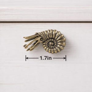 Peut inclure: Poign&eacute;e de meuble en laiton antique en forme de coquillage nautile, mesurant 4,3 cm de large. La poign&eacute;e pr&eacute;sente des ar&ecirc;tes d&eacute;taill&eacute;es et un design en spirale, mont&eacute;e sur une surface en bois blanc. Un &eacute;l&eacute;ment de quincaillerie d&eacute;coratif.