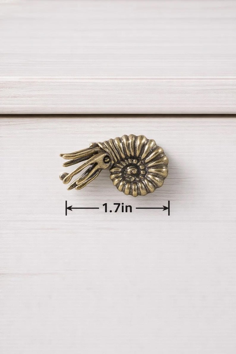 Peut inclure: Poign&eacute;e de meuble en laiton antique en forme de coquillage nautile, mesurant 4,3 cm de large. La poign&eacute;e pr&eacute;sente des ar&ecirc;tes d&eacute;taill&eacute;es et un design en spirale, mont&eacute;e sur une surface en bois blanc. Un &eacute;l&eacute;ment de quincaillerie d&eacute;coratif.