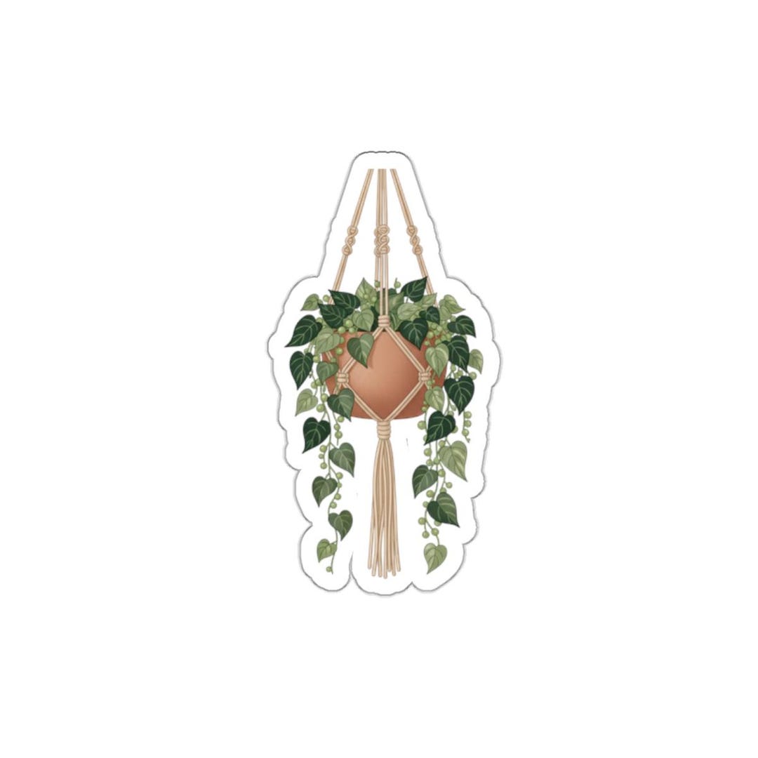 Hanging Pothos Macrame Planter Die-cut Sticker | Plant Lover Sticker - Etsy