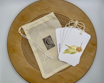 Watercolor Bird Gift Tags - Set of 6 Handmade Nature Art