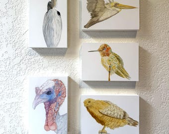 Mounted Watercolor Bird Prints