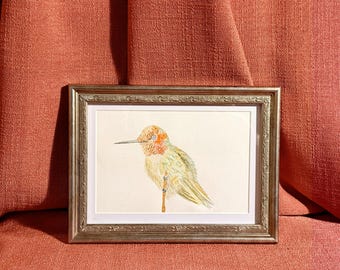 Original Anna’s Hummingbird Watercolor – One-of-a-Kind Bird Art, Nature Illustration, Bird Lover Gift