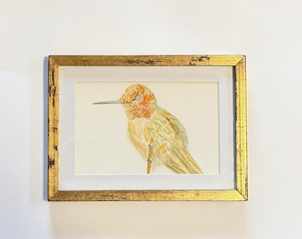 Anna's Hummingbird Watercolor Art Print – Wildlife Illustration (4x6 inches)