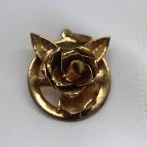 May include: A gold-toned metal pendant featuring a rose with leaves. The rose is centered in a circular frame.