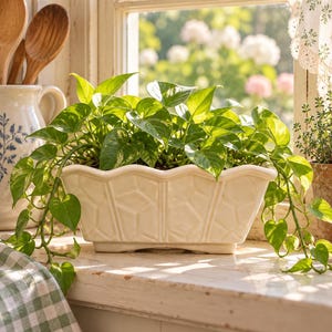 May include: A rectangular, off-white ceramic planter with a scalloped top edge and a geometric, faceted relief pattern on its sides. The planter holds a lush, trailing pothos plant with variegated green and yellow heart-shaped leaves.