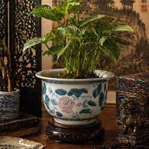 May include: A potted plant with green leaves in a white and blue floral ceramic pot. The pot sits on a dark wooden stand. The background includes a painting and other decorative items.