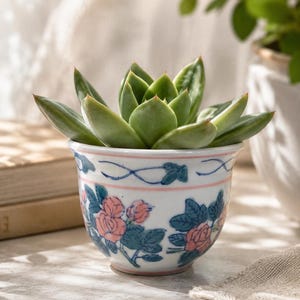 May include: A small, white ceramic planter with a succulent plant. The planter is decorated with pink floral designs and blue accents. The succulent has green leaves. The planter is sitting on a light-colored surface.