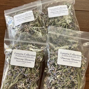Dried Flowering Rosemary Herb (.2 oz), Garden Harvested, Small Batch Ligusticum scoperium