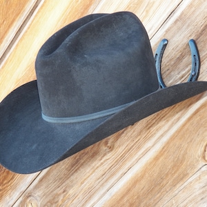 May include: A black cowboy hat with a wide brim hanging on a wooden wall with a horseshoe attached to the brim.