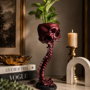 May include: A dark red, skull-shaped planter featuring a long, detailed spinal column base. The skull has an open top containing a green, variegated leafy plant. The structure stands on a circular black base, showcasing anatomical textures.