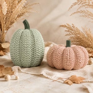 May include: Two decorative pumpkins featuring a textured knit pattern. The larger pumpkin is sage green with a dark green stem, while the smaller, flatter pumpkin is dusty pink with a matching dark green stem. Both have a ribbed, cable-knit design.