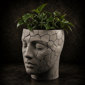 Può includere: Un vaso grigio a forma di volto umano, con un design a superficie incrinata. Il vaso è riempito di piante verdi e frondose. Il volto ha gli occhi chiusi e un'espressione serena. Un oggetto decorativo unico.