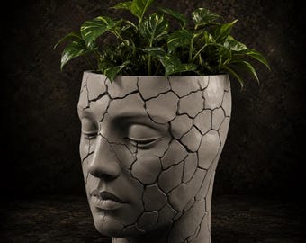 Maceta con forma de cara (archivo STL) / Maceta con forma de cabeza agrietada (impresión 3D) para decoración