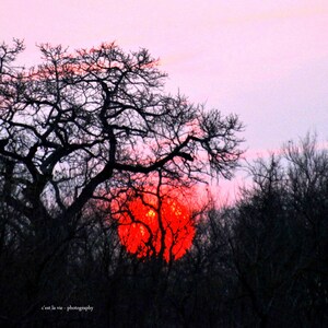African Sunsets Collection. Fine Art Photography, Nowhere like Africa