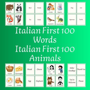 Puede incluir: Tarjetas didácticas con palabras italianas y nombres de animales. Las tarjetas presentan ilustraciones de animales como un oso, un panda, un zorro y un koala, junto con las palabras italianas correspondientes. Otras tarjetas muestran alimentos y saludos.