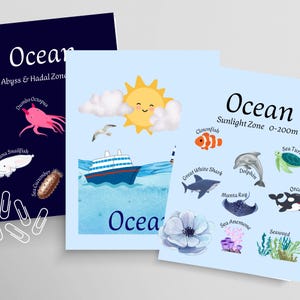 May include: Three educational ocean-themed prints. One features deep-sea creatures like the Dumbo Octopus. Another shows a ship, sun, and seagull. The third print displays marine life from the sunlight zone, including a shark, dolphin, and clownfish.