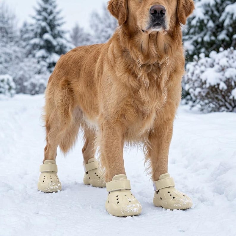 Puede incluir: Un golden retriever en la nieve, con botas beige para perros. Las botas tienen un cierre de correa y peque&ntilde;os orificios de ventilaci&oacute;n. El perro est&aacute; en un entorno nevado con &aacute;rboles al fondo.