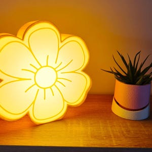Può includere: Una lampada a forma di fiore che emette una luce giallo brillante. Accanto c'è una piccola pianta succulenta in vaso in un vaso colorato. Il vaso ha un design rosa, arancione e bianco. La lampada e la pianta sono su una superficie di legno.