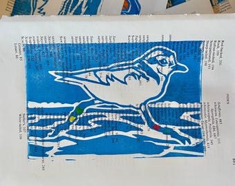 Impresión en linóleo de chorlito nevado (en la guía de campo)