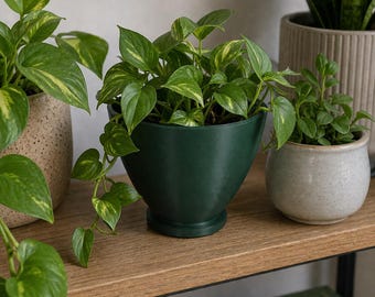 Minimalist Indoor Plant Pot