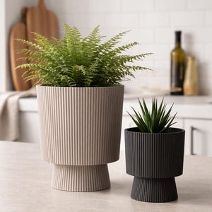 以下が含まれることがあります： ニュートラルな色合いの、モダンなリブ編みプランター2つ。 大きなライトグレーのプランターにはシダが、小さな黒いプランターには多肉植物が入っています。どちらも台座があり、明るい色のカウンタートップに置かれています。