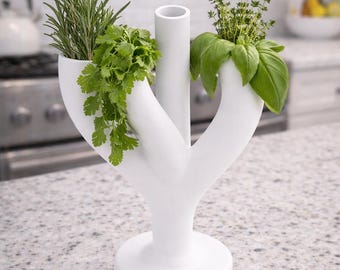 Modern Minimalist Herb Keeper: ASA Material Kitchen Organizer