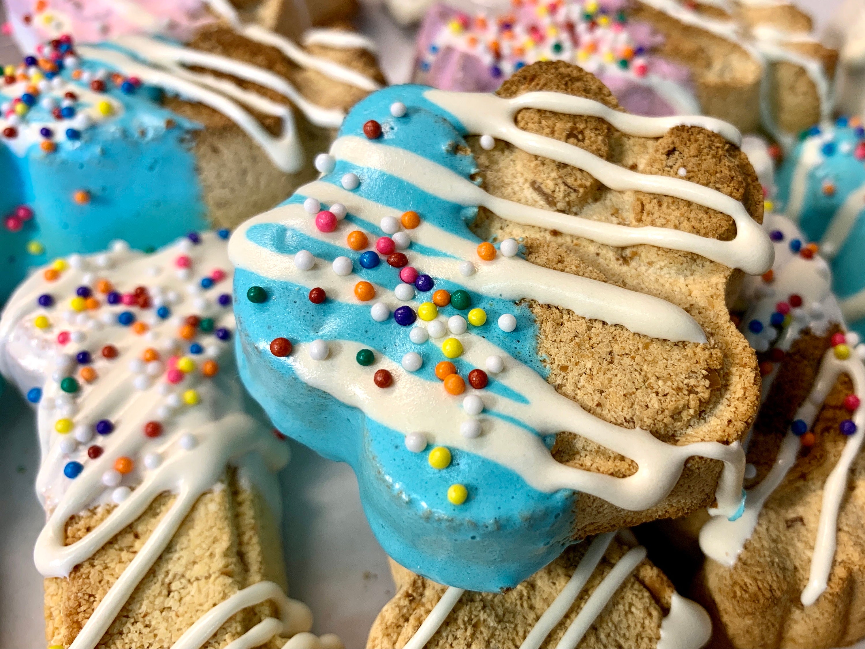 Dog Treats Dog Candy 20 Pack Etsy