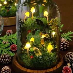 Puede incluir: Una campana de cristal decorativa con una base de madera, que alberga un jardín de hadas en miniatura. El jardín presenta luces de hongos brillantes, musgo verde y pequeños elementos decorativos. La campana está rodeada de piñas y vegetación.