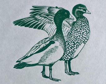 Grabado en relieve de edición limitada A3 - Patos de madera australianos 4/30 en verde turquesa