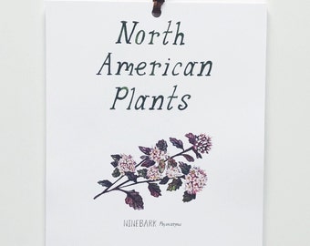 2022 North American Plants Calendar- 6 x 9