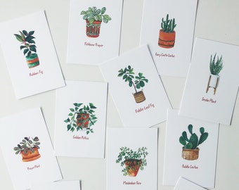 House Plant Postcard Pack of 12 (4x6 size)
