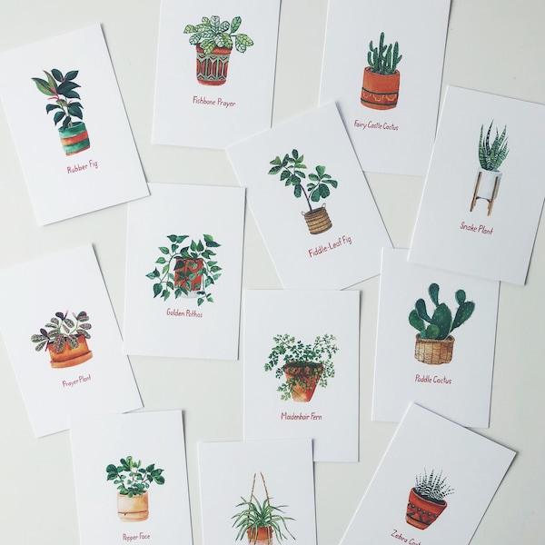 House Plant Postcard Pack of 12 (4x6 size)